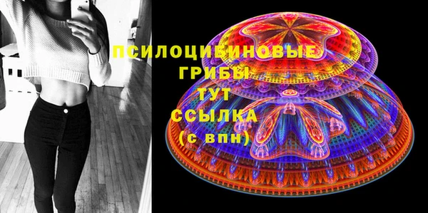хмурый Армянск