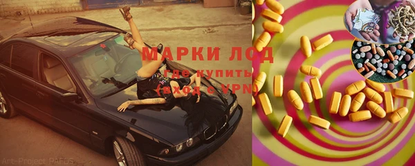 эйфоретик Аркадак