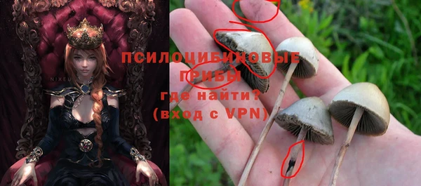 эйфоретик Аркадак