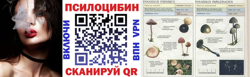 Псилоцибиновые грибы прущие грибы  хочу   Лесосибирск 