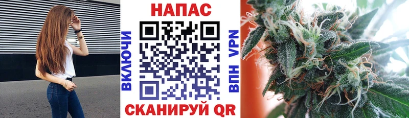 Конопля AK-47  наркотики  Лесосибирск 